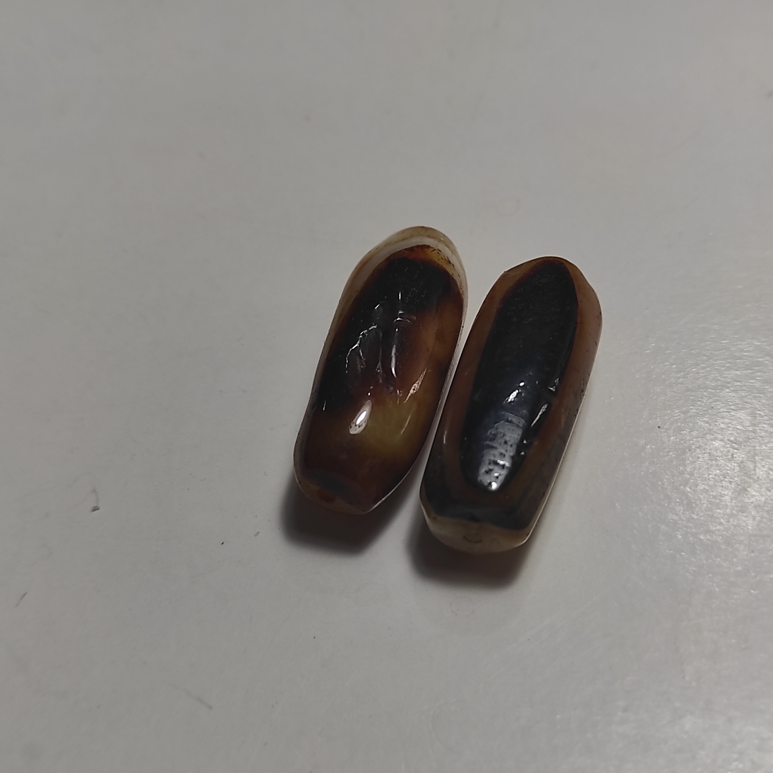 مهره سلیمانی اصل