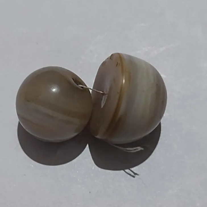 مهره سلیمانی اصل