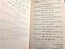 گزیده