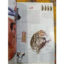 دانشنامه
