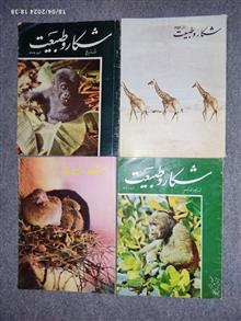پنجاه
