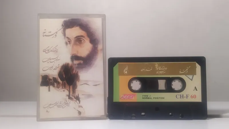 در گلستانه شهرام ناظری