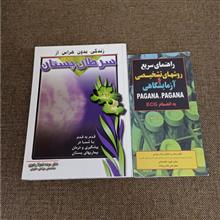 زندگی