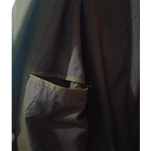 پالتو