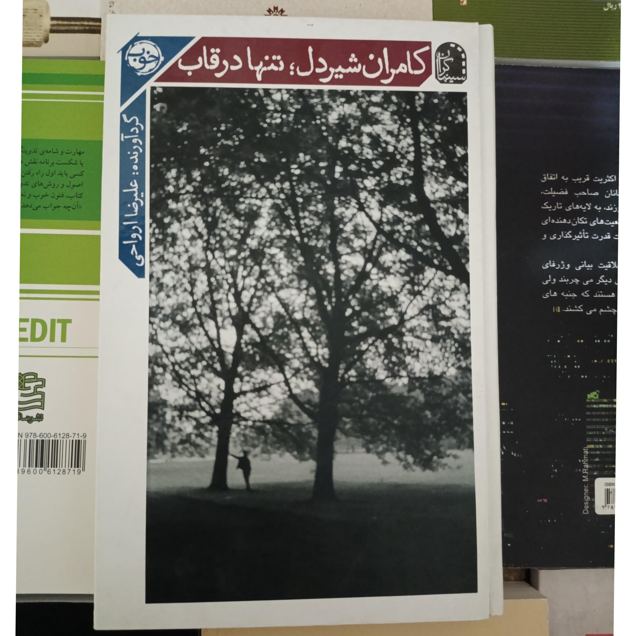 بررسی سینمای کامران شیردل ( تنها در قاب )