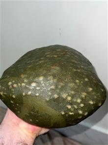 سنگ