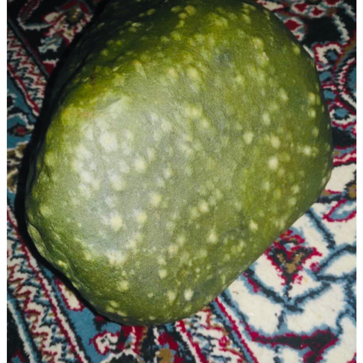 سنگ راف مشکوک به شهاب سنگ کندریتی