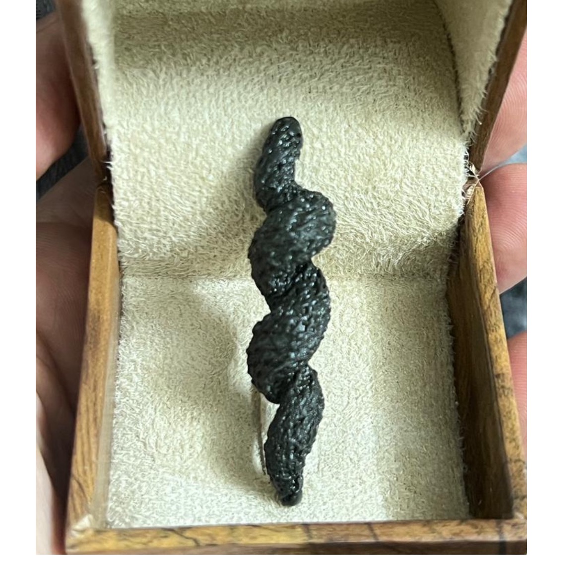عرج سواحل پیچی