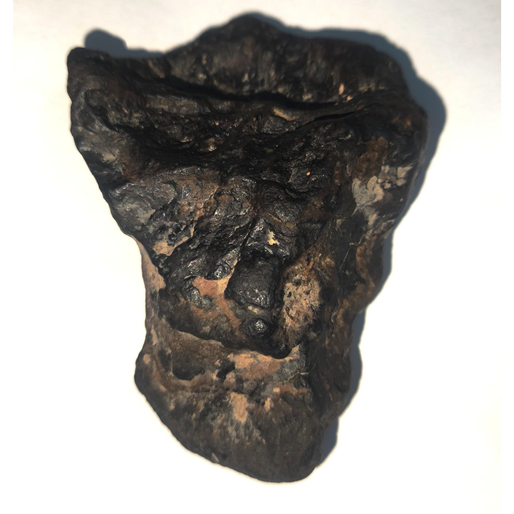 شهاب سنگ مریخی شرگوتایت (Shergottite 34.14 گرم