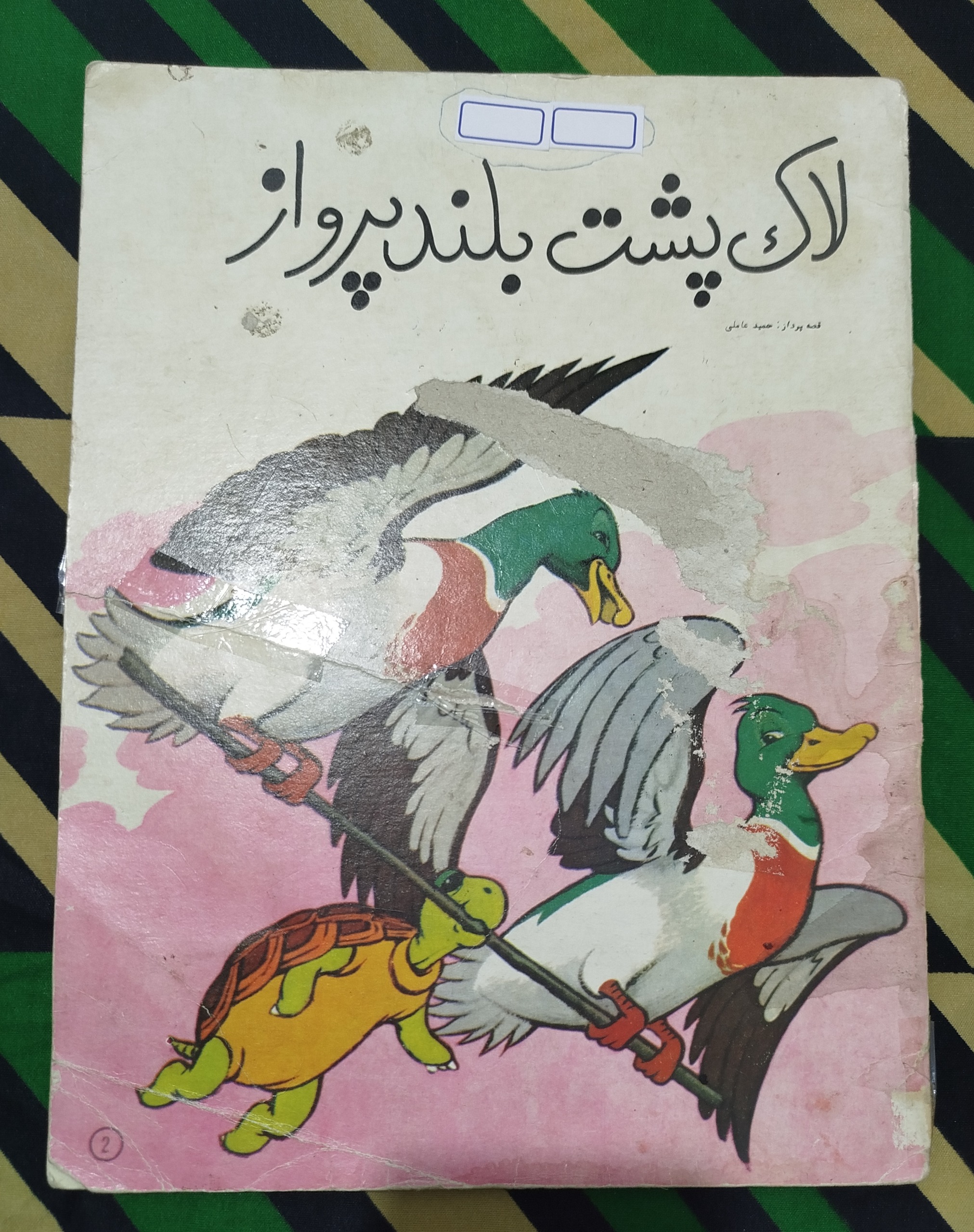 لاکپشت بلند پرواز
