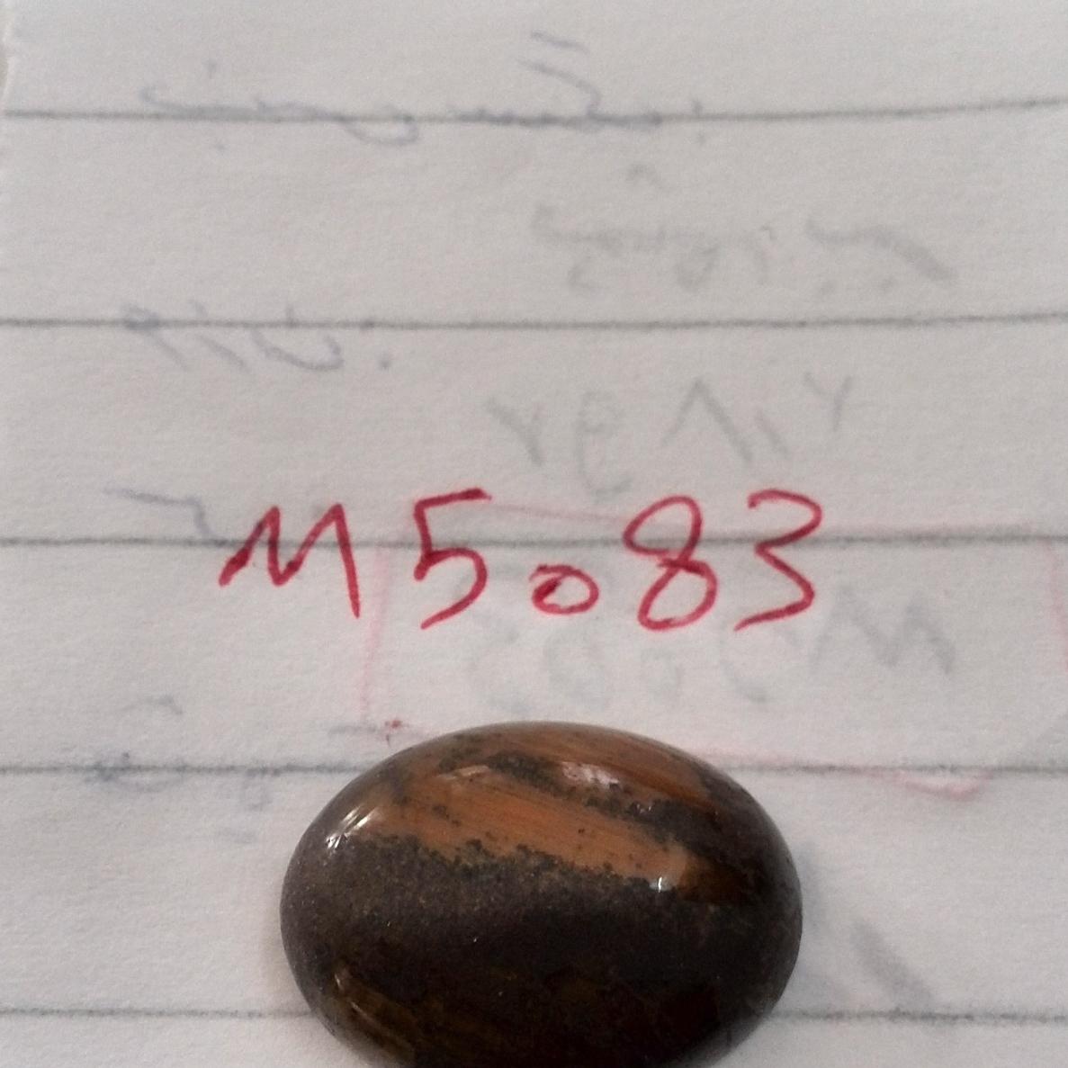 نگین چشم ببر عالی(سیدمجرد)