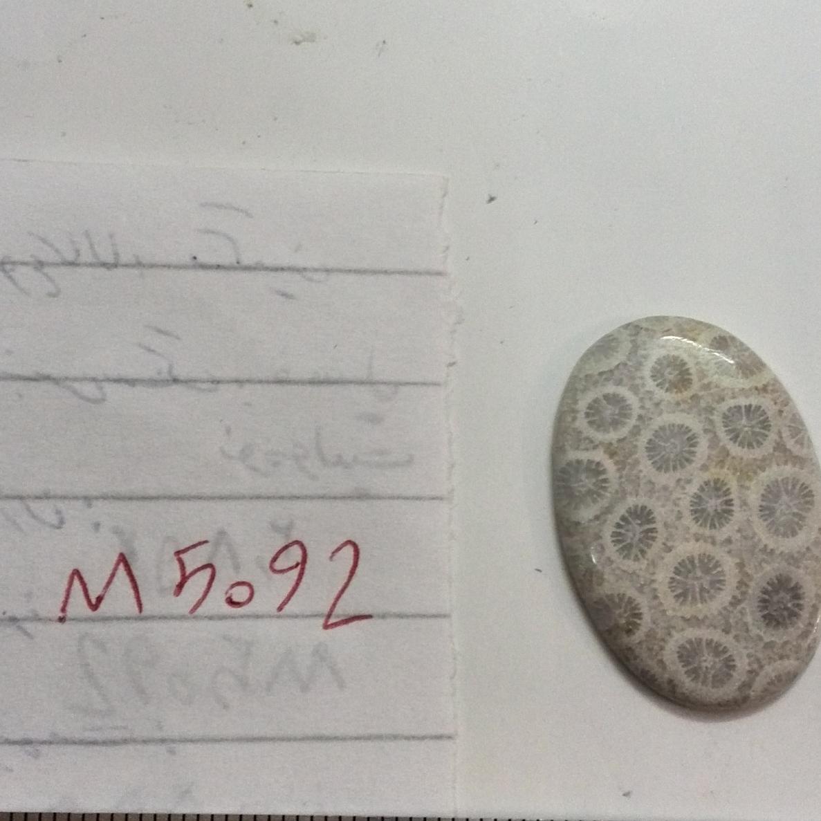 نگین نومولیت عالی(فروشگاه سیدمجرد)