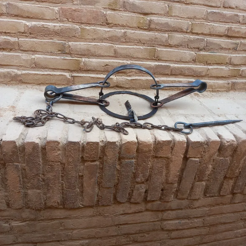 تله بزرگ،قدرتمند 70سانت،با زنجیر ومیخ طویله