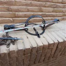 تله