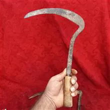 جفت