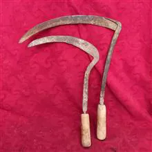 جفت