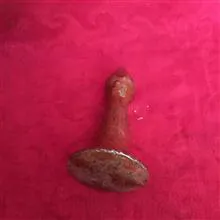 مشته