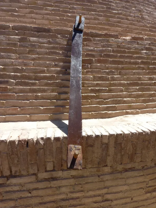 اره2کله غولپیکر 160سانت بکر(روسی)