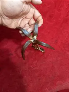 چنگک