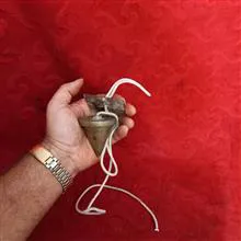 شاقول