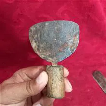 نیش