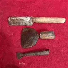 نیش