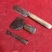 نیش