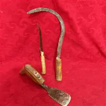 جفت