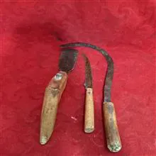 جفت