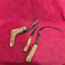جفت