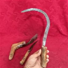 جفت