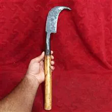 شاخه