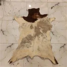 پوست