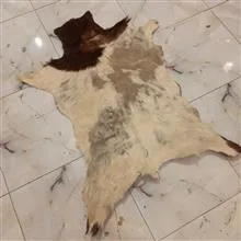 پوست