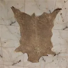 پوست