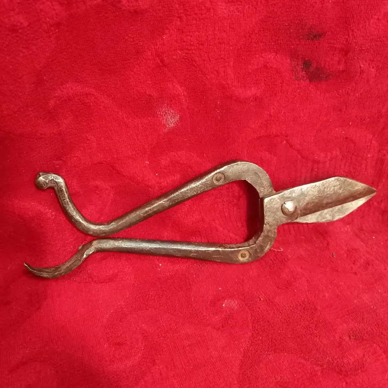 قیچی حلب بری مارکدار فولاد قاجاری