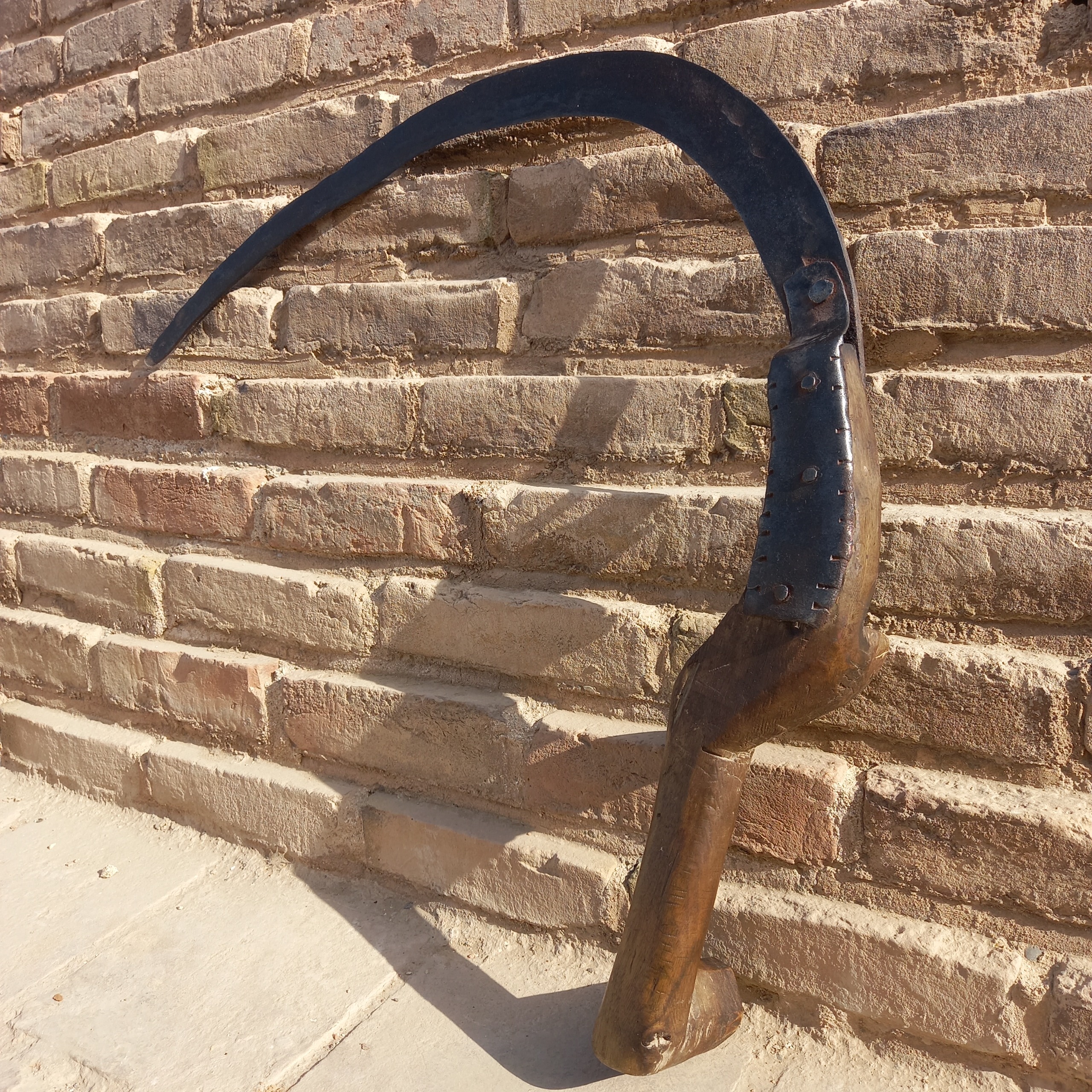 منگال غولپیکر بکر اصیل قاجاری خاص کلکسیونی