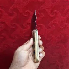 تیزی
