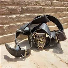 کمربندعلمات