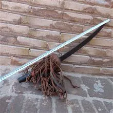شمشیر