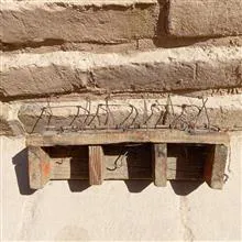 تله