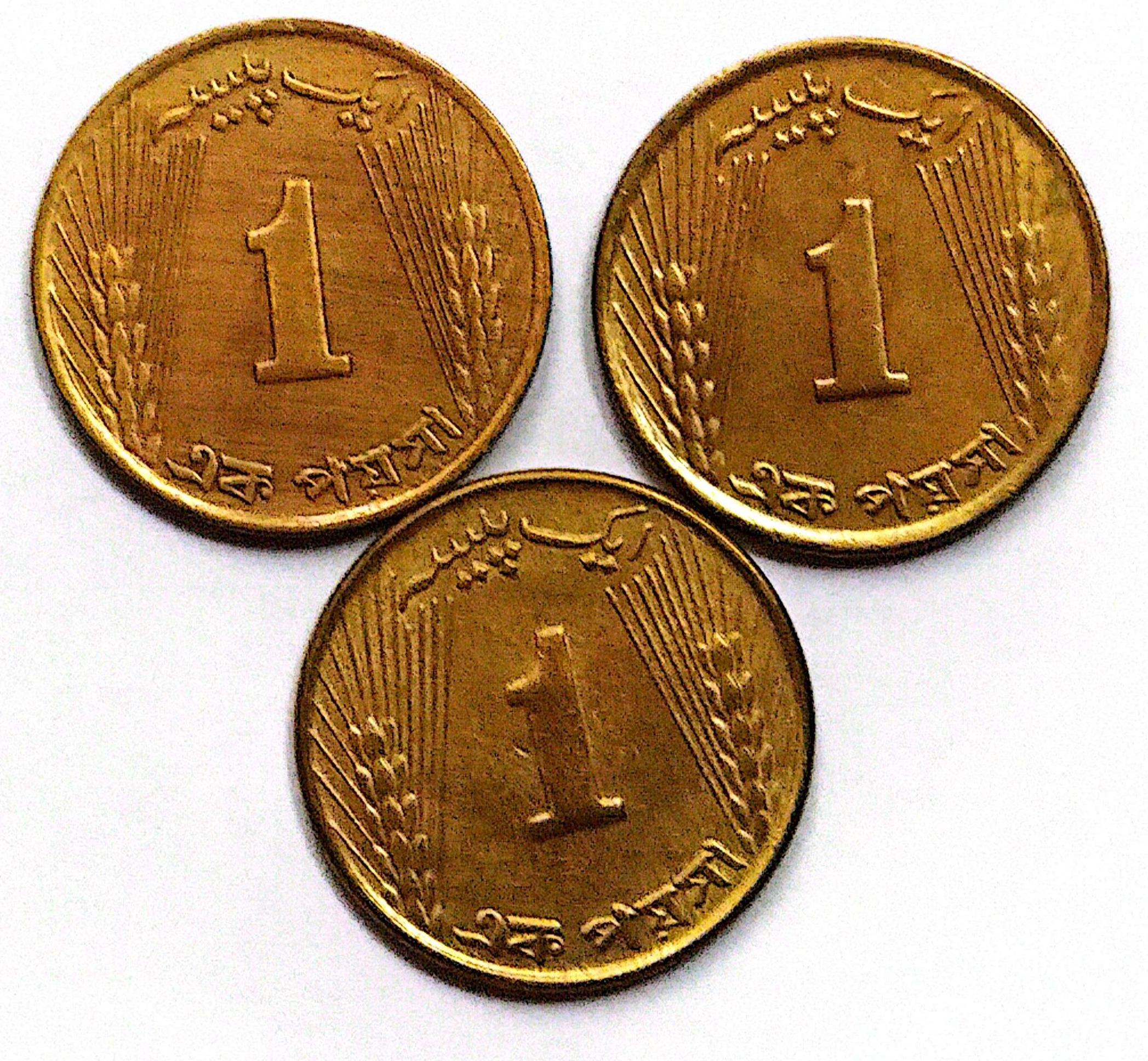 سکه 1 پیسه پاکستان1966 یک عدد (کد7004)