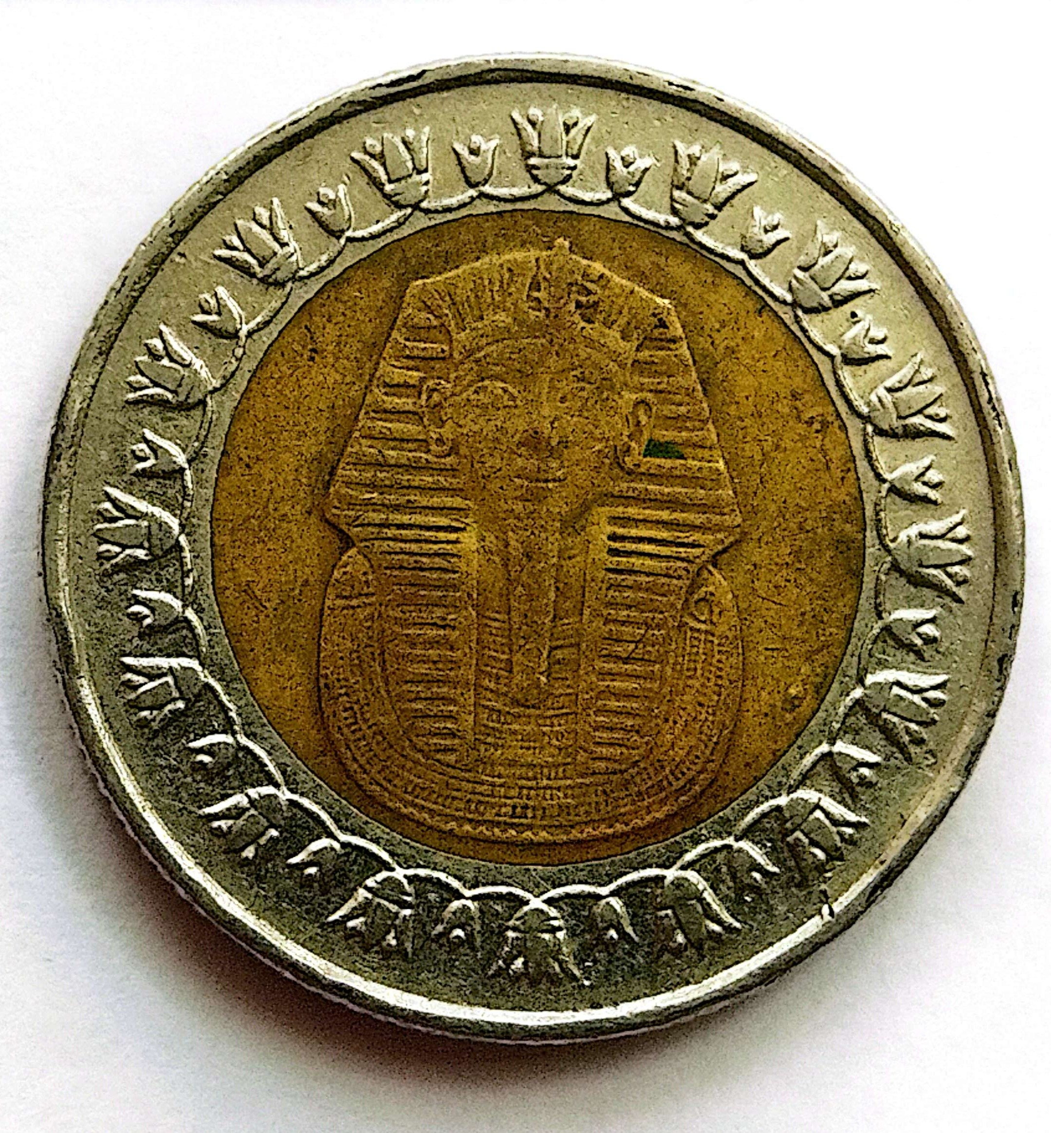 سکه1پوند دورنگ مصر2008(5810)