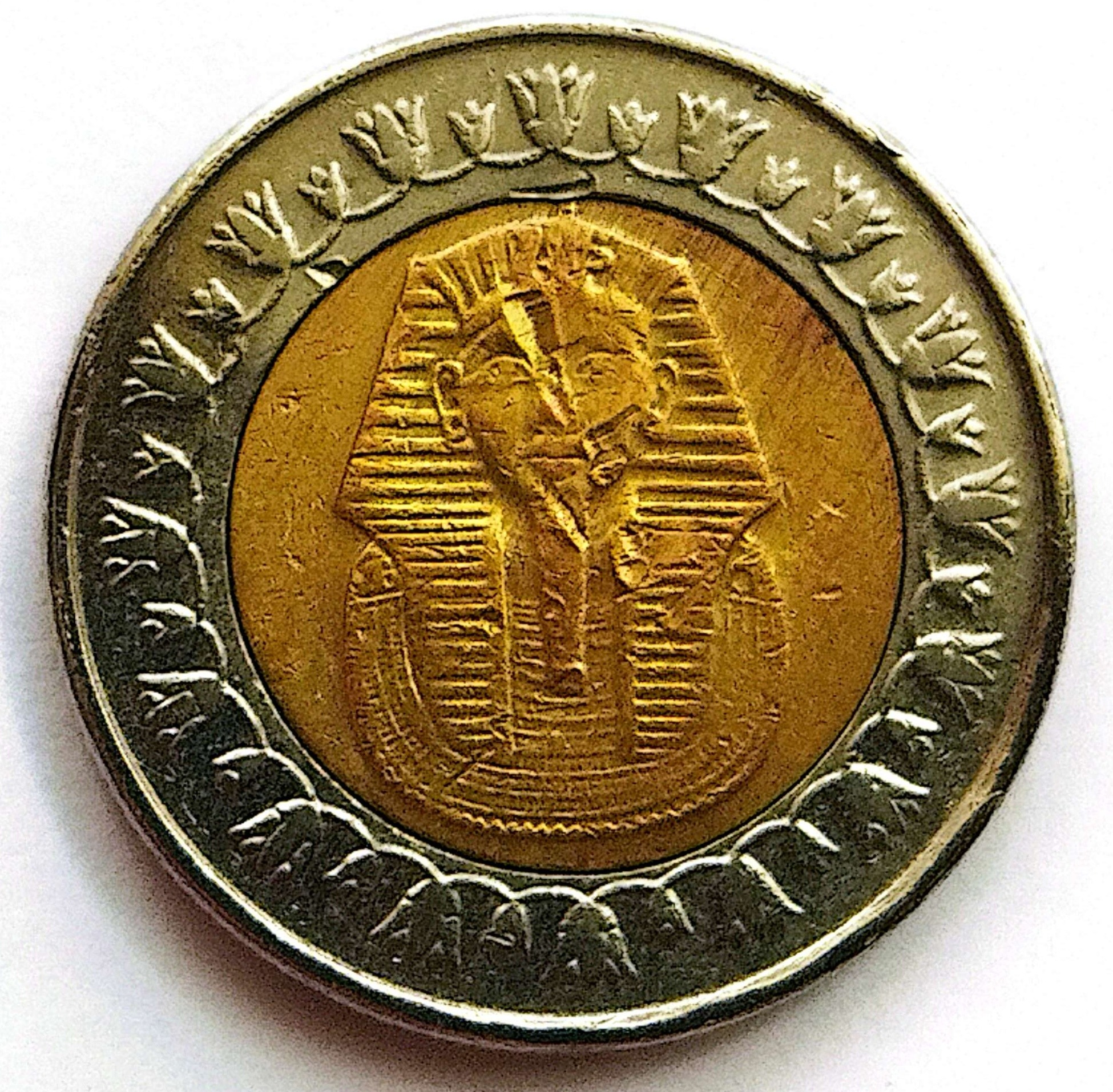 سکه1پوند دورنگ مصر2010توضیحات(5825)