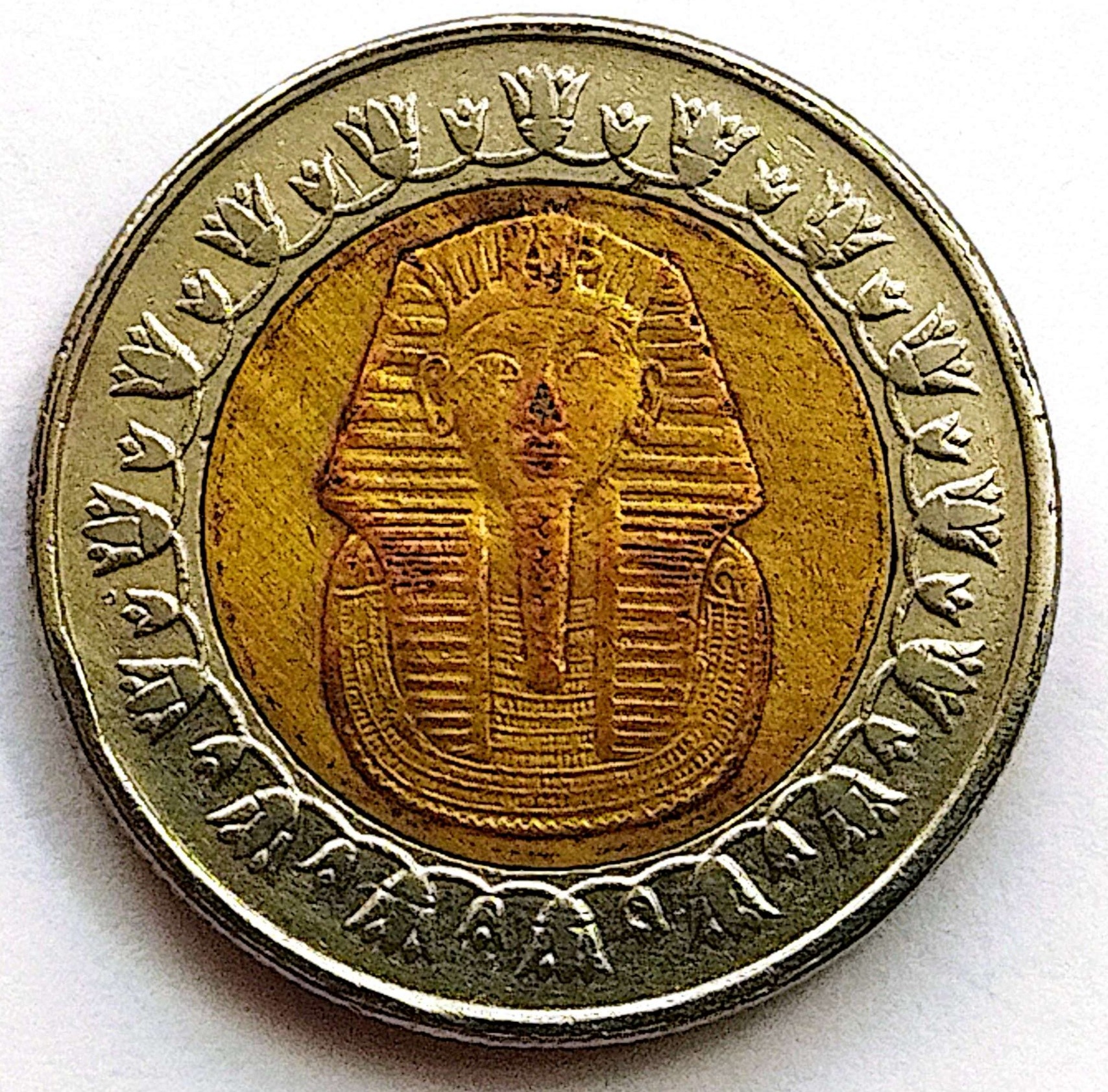 سکه 1پوندی مصر2010(کد5828)