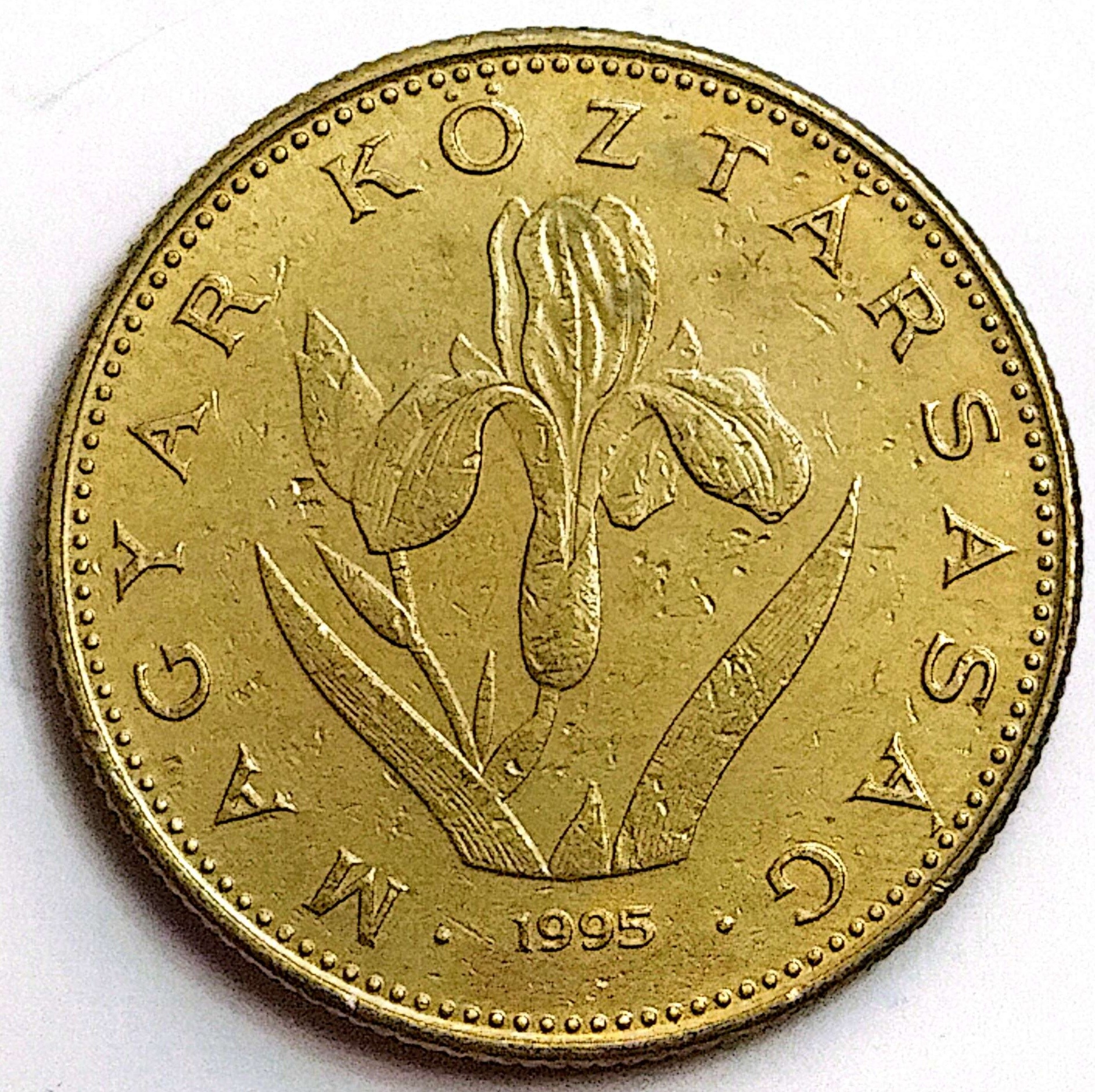 سکه 20فوریت مجارستان1995(کد4813)