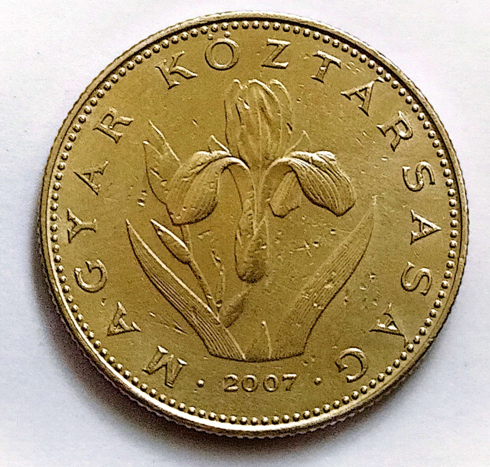 سکه 20فوریت مجارستان2007(کد4802)