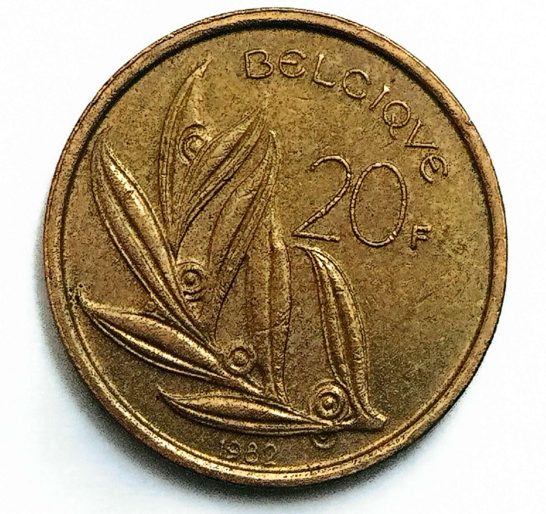 سکه 20فرانک بلژیک1982(کد16)