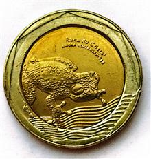 سکه500پزو