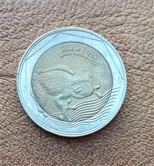 سکه